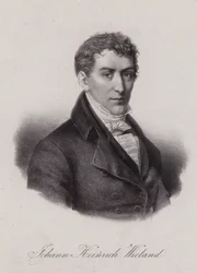 Johann Heinrich Wieland, Schweizer Jurist und Politiker in der Helvetischen Republik