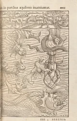 Seite 1005 aus Cosmographiae Universalis von Sebastian Muenster, Basel, 1572