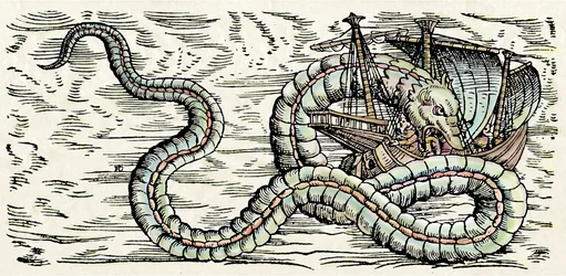 Seemonster, Illustration aus 