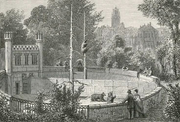 Der Bärengraben in Bern