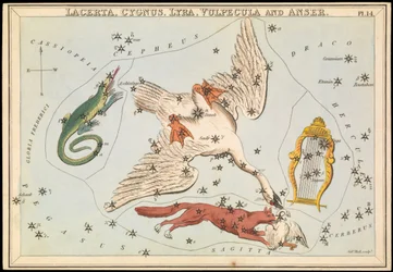 Lacerta, Cygnus, Lyra, Vulpecula und Anser, ca. 1825