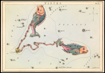 Fische, ca. 1825
