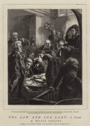 Das Gesetz und die Dame, ein Roman