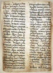 Textseite aus dem Pentateuch. (Genesis, Exodus, Numeri, Deuteronomium), 464