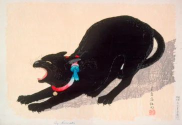 Zischende schwarze Katze