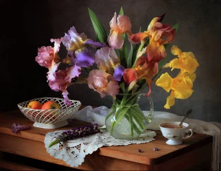 Bunte Iris Stillleben