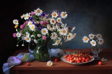 Frische Gänseblümchen und Kirschen