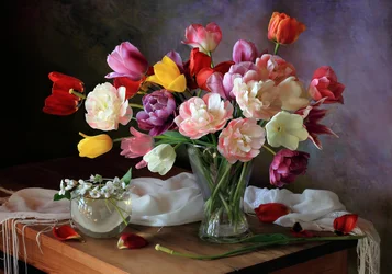 Lebendige Frühlings-Tulpen