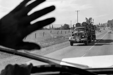 Fahrer in einem Holztransporter winkt einem anderen Holztransporter zu