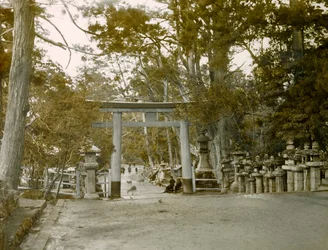 Eingang zum Laternen-Schrein im Kasauga Taisha Park, Nara, um 1900 - 1915