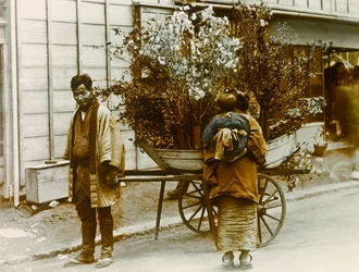 Wandernder Blumenverkäufer in den Straßen von Tokio, um 1900 - 1915