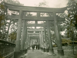 Torii im Inari-Schrein, Kyoto, um 1900 - 1915