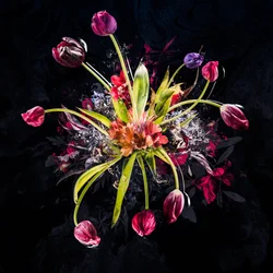 Blumenstrauß XVIII, 2017