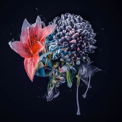 Kleiner Blumenstrauß, 2018