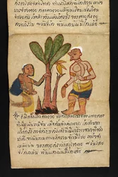 Satra über Wahrsagerei und Ratschläge für ein glückliches und gesundes Leben (Papierfaltbuch)