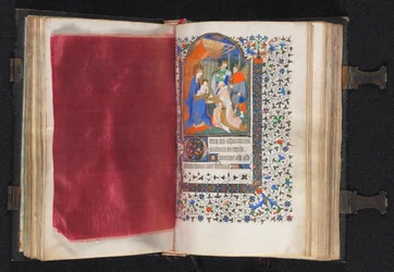 Stundenbuch Gebrauch von Paris: Fol. 66v, dekorierter Rand, ca. 1420