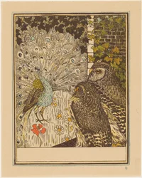 Radschlagender Pfau und zwei Eulen