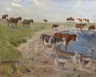 Kälber und Gänse an einer Tränke auf der Insel Saltholm