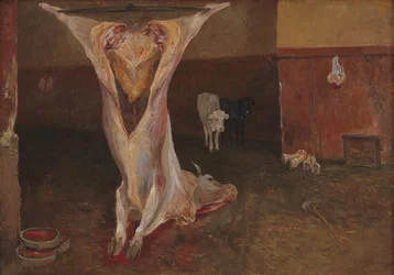 Kadaver eines Ochsen. Rom