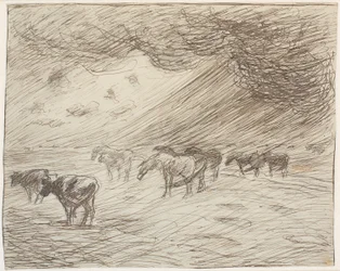 Ein Regenschauer
