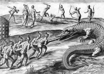 Timucuan-Indianer jagen Alligator