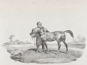 Ein arabisches Pferd