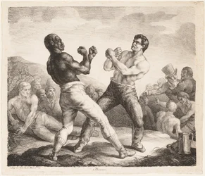 Boxer