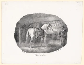 Hannoversches Pferd
