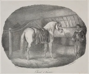 Hannoveraner Pferd