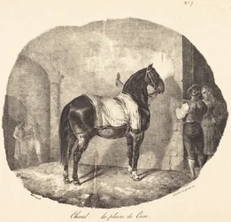 Pferd aus der Ebene von Caen
