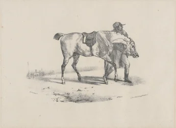 Pferd, das vor dem Rennen geführt wird