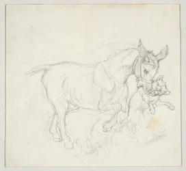 Esel mit Hund im Maul (recto); Studie von Hirschen, die von Hunden gejagt werden, Kopf einer Hirschkuh (verso)