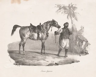Ägyptische Stute, 1822