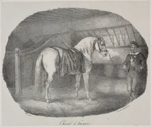 Hannoveraner Pferd