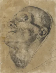 Kopf eines aufblickenden Mannes, mit gesenktem Blick