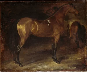 Spanisches Pferd