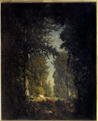 Eine Allee im Wald von L