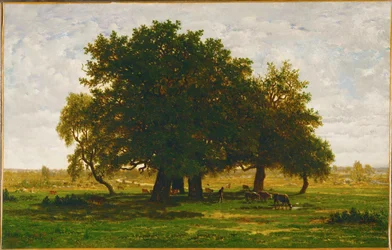 Gruppe von Eichen, Apremont
