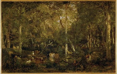 Le Vieux Dormoir du Bas-Breau, ein Teil des Waldes von Fontainebleau