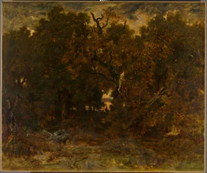 Verlassen des Waldes, Fontainebleau: Sonnenuntergang