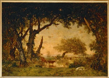 Ausgang aus dem Wald in Fontainebleau, Sonnenuntergang