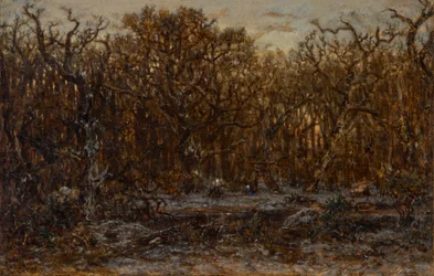 Wald bei Sonnenuntergang im Winter