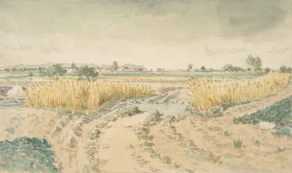 Weizenfelder