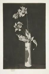 Proof for La Chine (Schwarz-Weiß-Version)