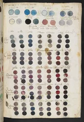 Seite aus dem Mayerne-Manuskript (MS 2052 f.81r)