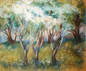 Obstgarten in Giverny