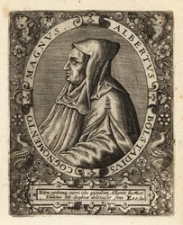 Albertus Magnus, deutscher katholischer Bischof