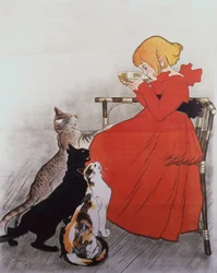 Reine sterilisierte Milch von La Vingeanne