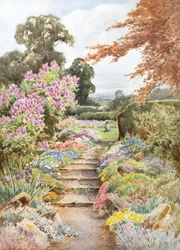 Ich werde Flieder sammeln