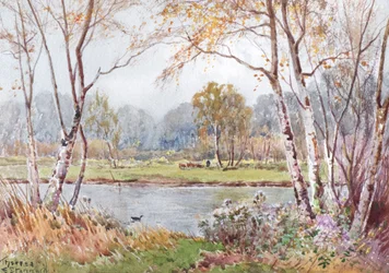 Sonniger Tag an der Ouse